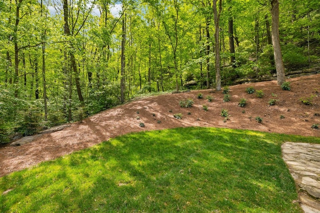 57 Annandale, Nashville, TN 37215 - photo 85