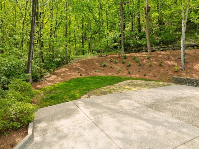 57 Annandale, Nashville, TN 37215 - photo 91