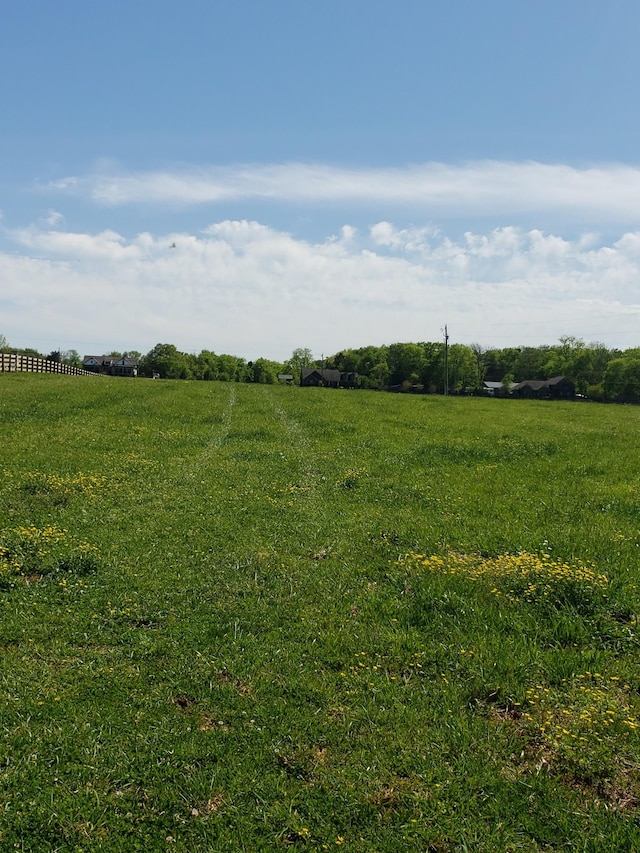 4003 Kelley Farris Rd, Columbia, TN 38401 - view of undeveloped land with rural landscape