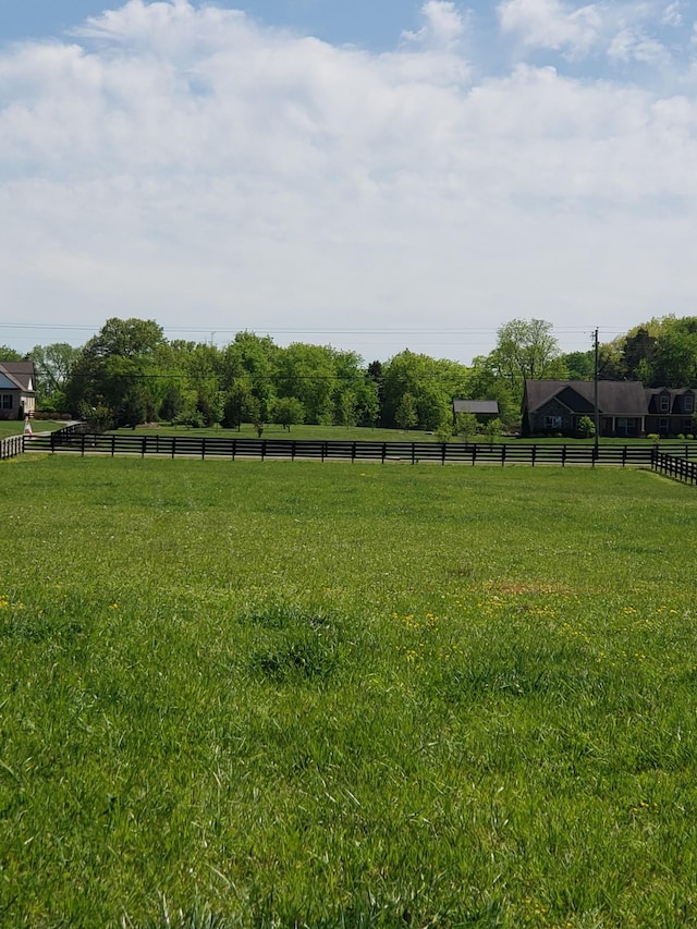 4003 Kelley Farris Rd, Columbia, TN 38401 - view of yard