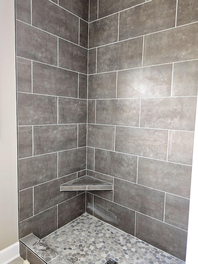 4003 Kelley Farris Rd, Columbia, TN 38401 - full bath with tiled shower