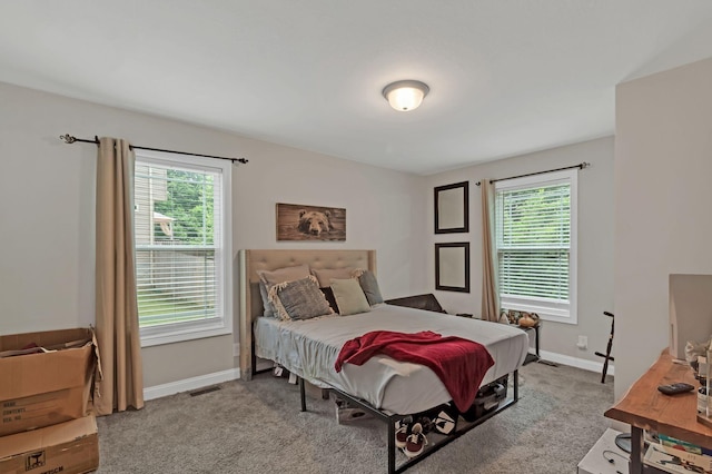 1062 Spicer Dr, Clarksville, TN 37042 - photo 14