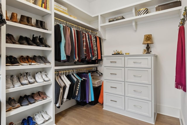 8118 Heirloom Blvd, College Grove, TN 37046 - spacious closet with light wood-type flooring