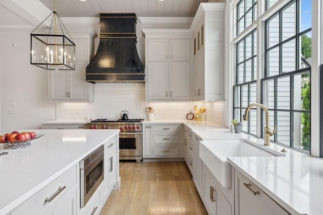 8118 Heirloom Blvd, College Grove, TN 37046 - kitchen with custom exhaust hood, appliances with stainless steel finishes, a sink, light wood-style floors, and light countertops