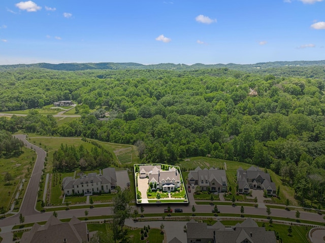 8118 Heirloom Blvd, College Grove, TN 37046 - aerial view of residential area featuring a forest, property parcel outlined, and a mountain backdrop