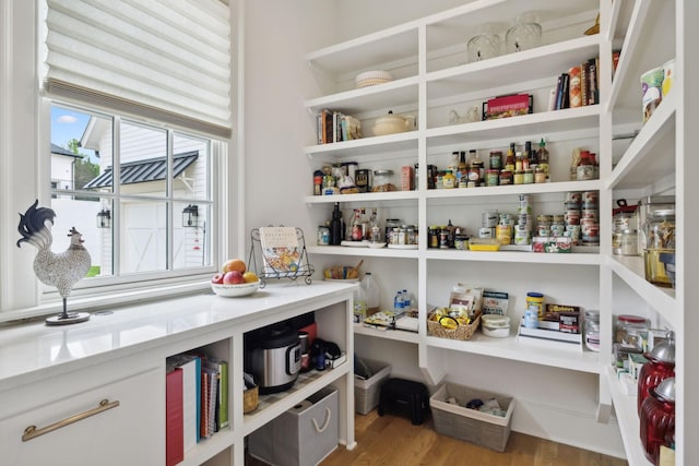8118 Heirloom Blvd, College Grove, TN 37046 - view of pantry