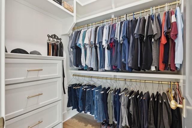 8118 Heirloom Blvd, College Grove, TN 37046 - spacious closet with wood finished floors