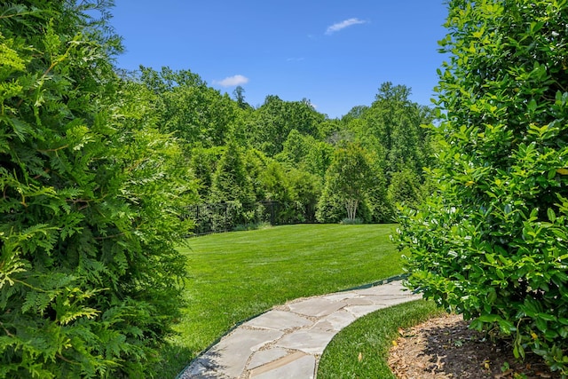 8118 Heirloom Blvd, College Grove, TN 37046 - view of green lawn
