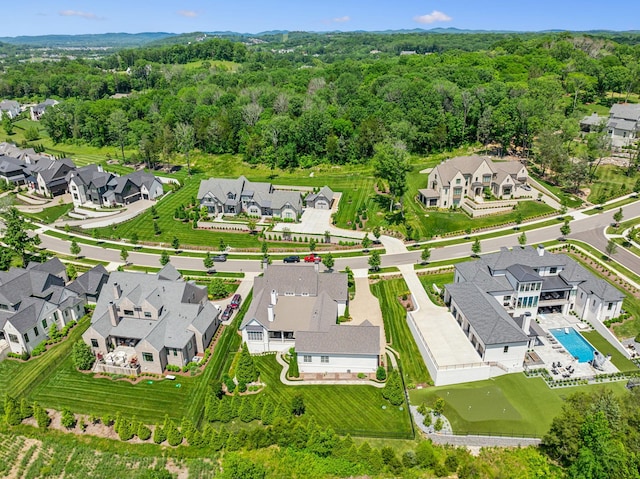 8118 Heirloom Blvd, College Grove, TN 37046 - aerial view of residential area with a pool and a forest