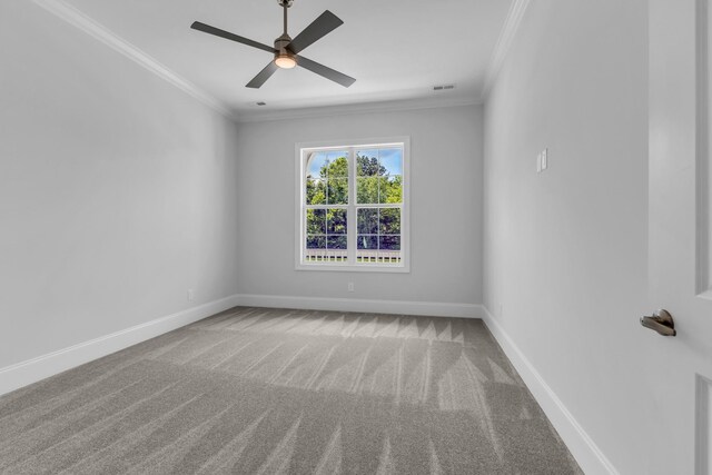 7133 Frances St, Fairview, TN 37062 - photo 21