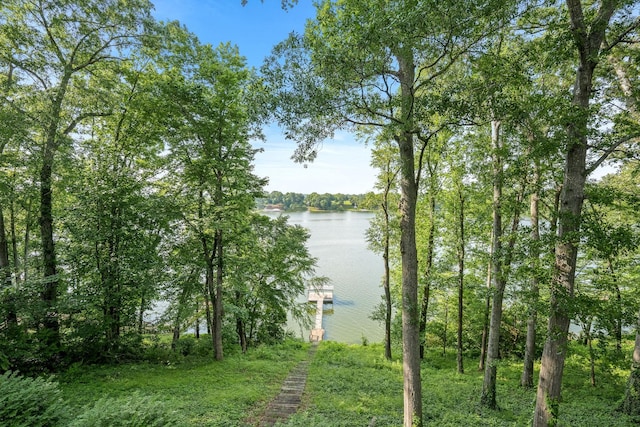 208 Loop Dr, Winchester, TN 37398 - water view featuring a dock