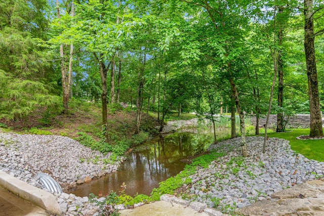 11 Fox Vale Ln, Nashville, TN 37221 - photo 6