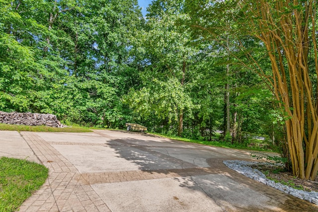 11 Fox Vale Ln, Nashville, TN 37221 - photo 8