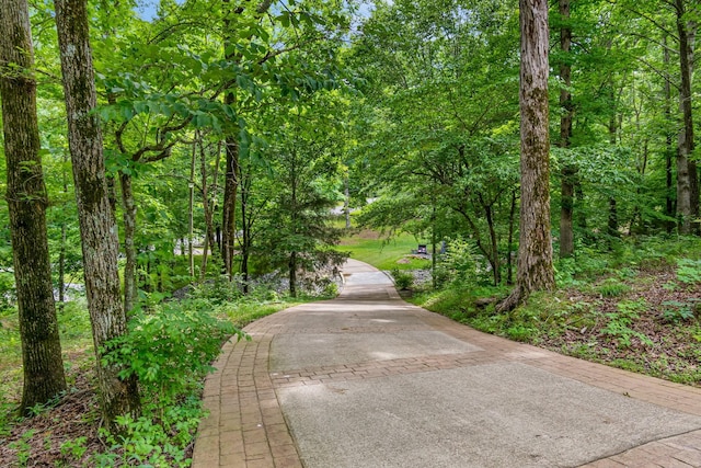 11 Fox Vale Ln, Nashville, TN 37221 - photo 7