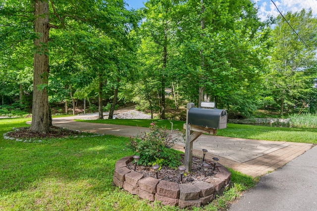 11 Fox Vale Ln, Nashville, TN 37221 - photo 5