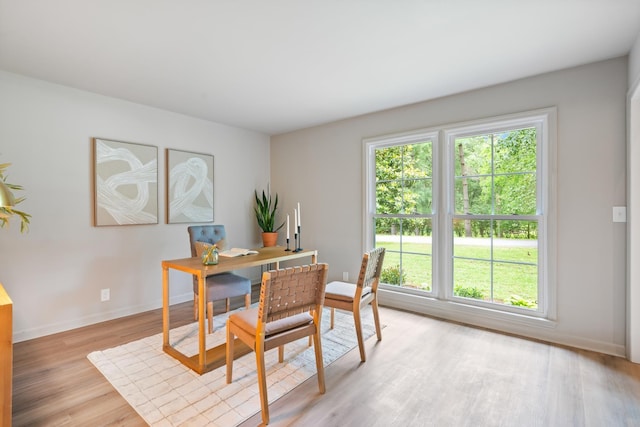 4900 Chesterfield Dr, Murfreesboro, TN 37127 - home office with light wood-type flooring and baseboards