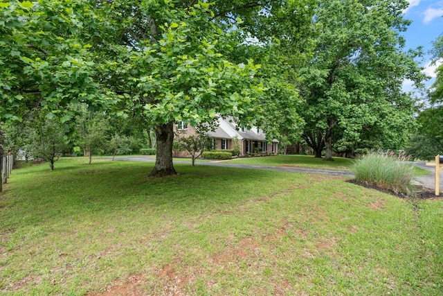 4900 Chesterfield Dr, Murfreesboro, TN 37127 - view of grassy yard