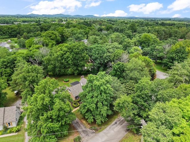 4900 Chesterfield Dr, Murfreesboro, TN 37127 - drone / aerial view of a forest