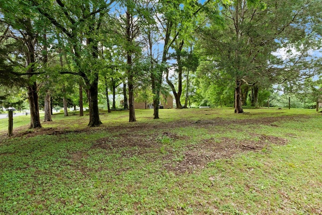 4900 Chesterfield Dr, Murfreesboro, TN 37127 - view of grassy yard