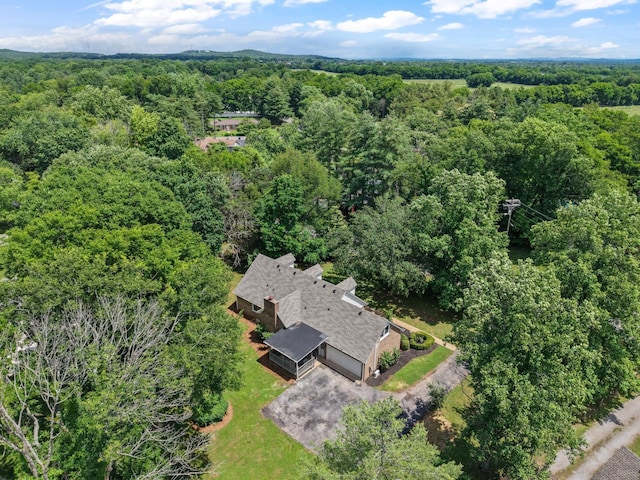 4900 Chesterfield Dr, Murfreesboro, TN 37127 - bird's eye view of a forest