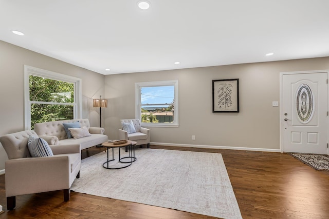 209 Franklin Park, Winchester, TN 37398 - living room featuring plenty of natural light, dark wood-type flooring, and recessed lighting