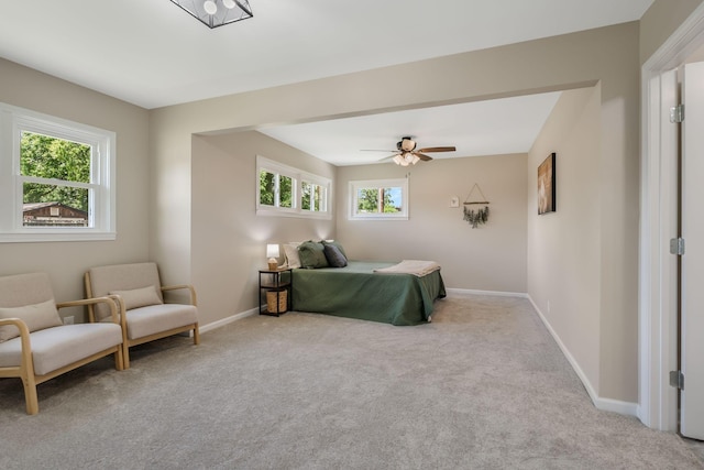 209 Franklin Park, Winchester, TN 37398 - bedroom with multiple windows, carpet flooring, and a ceiling fan