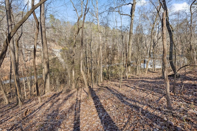 698 Green Pond Rd, Soddy Daisy, TN 37379