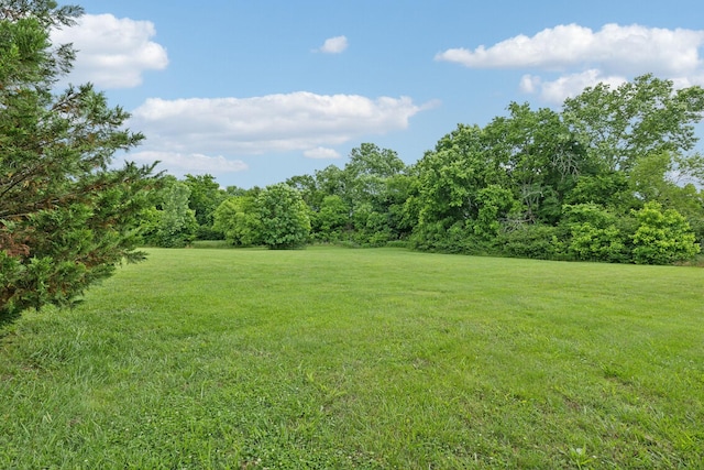 3065 Sakari Cir, Spring Hill, TN 37174 - view of grassy yard