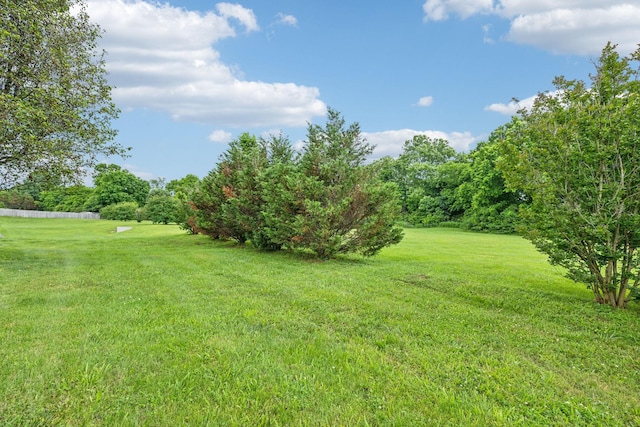 3065 Sakari Cir, Spring Hill, TN 37174 - view of green lawn