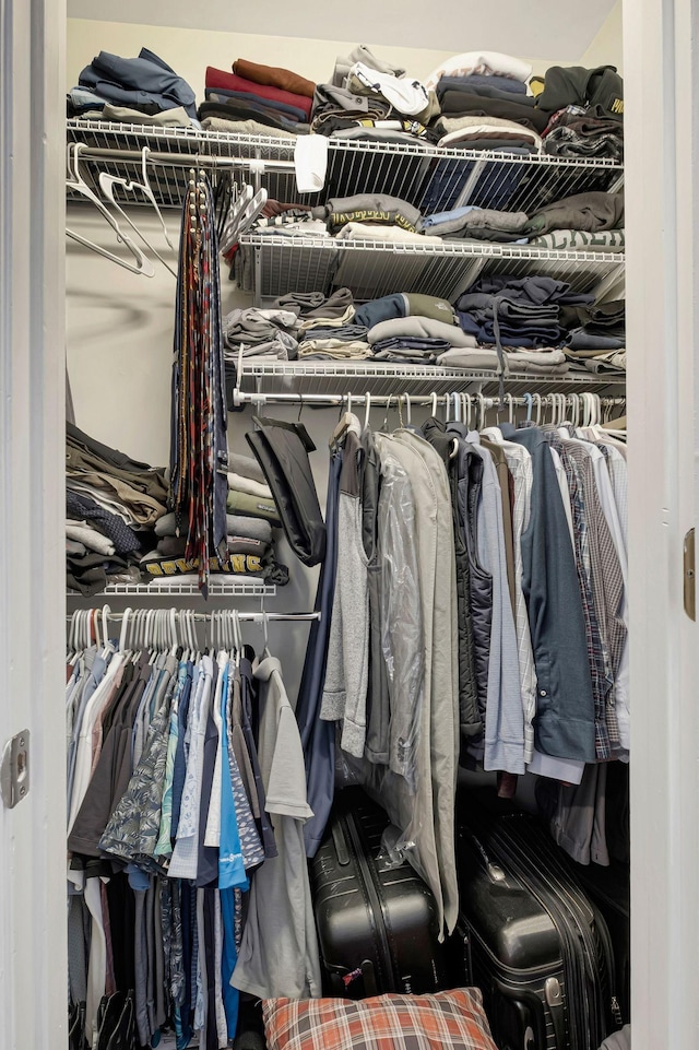 317 Ketch Cv, Hermitage, TN 37076 - view of closet