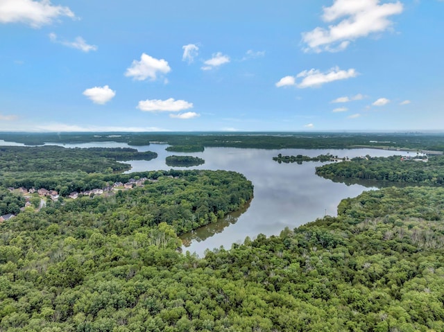 317 Ketch Cv, Hermitage, TN 37076 - aerial view of a forest and a nearby body of water