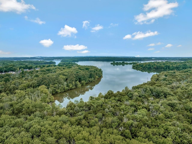 317 Ketch Cv, Hermitage, TN 37076 - aerial view of a heavily wooded area and a nearby body of water