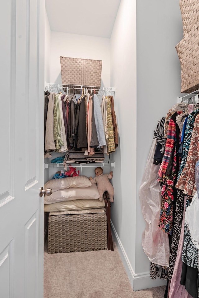 1308 Belgove Aly, Antioch, TN 37013 - walk in closet with carpet