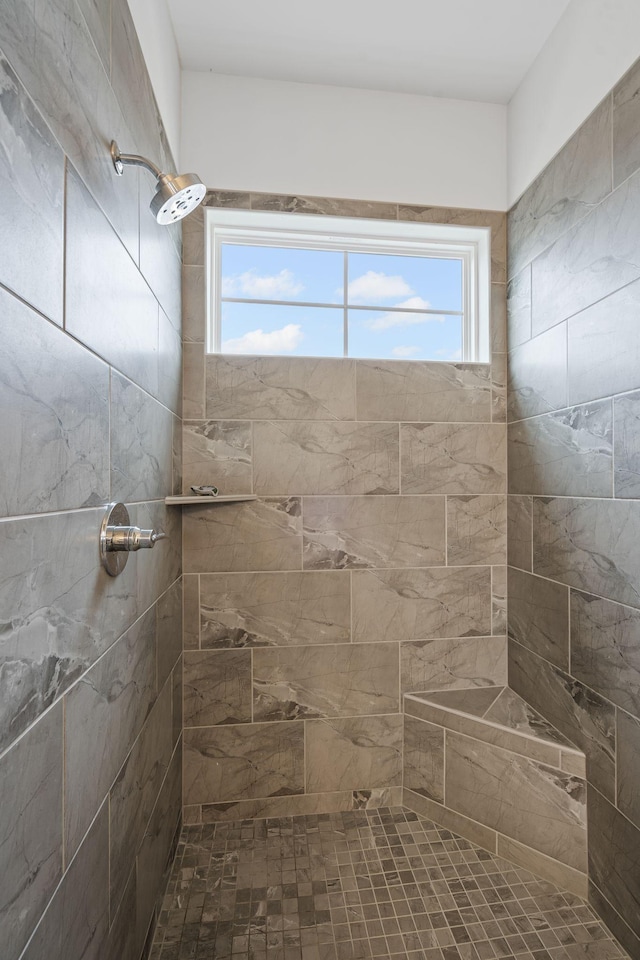 1308 Belgove Aly, Antioch, TN 37013 - full bathroom featuring healthy amount of natural light and tiled shower