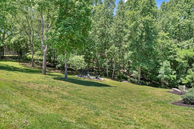 2670 Morgan Rd, Joelton, TN 37080 - view of green lawn