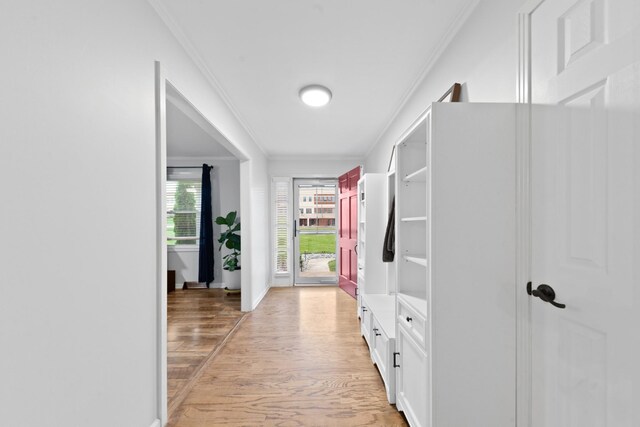 916 Lion Pkwy, Columbia, TN 38401 - corridor featuring ornamental molding, light wood finished floors, and baseboards