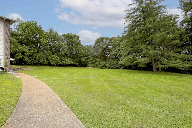 806 Ashlawn Pl, Nashville, TN 37211 - photo 38
