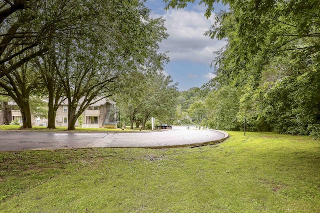 806 Ashlawn Pl, Nashville, TN 37211 - photo 37