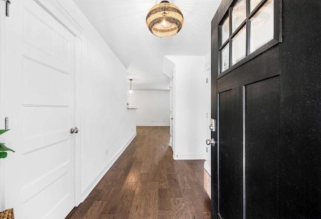 800 Snapdragon Ct, Clarksville, TN 37042 - foyer entrance featuring dark wood-style floors and baseboards