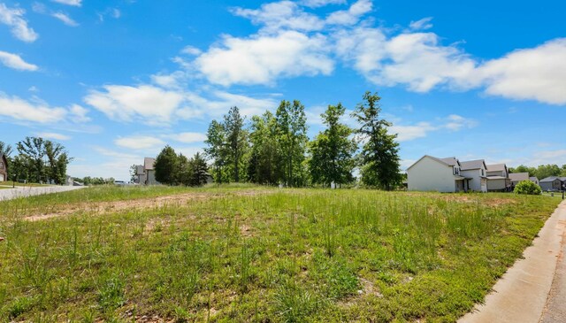 800 Snapdragon Ct, Clarksville, TN 37042 - view of yard