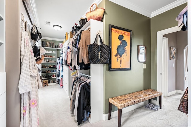 3009 Burnley Ct, Spring Hill, TN 37174 - walk in closet with carpet flooring