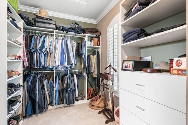 3009 Burnley Ct, Spring Hill, TN 37174 - walk in closet with attic access and carpet flooring