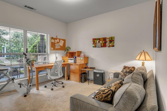 1144 Frewin St, Nolensville, TN 37135 - office area with light carpet