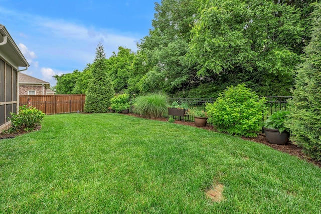 1144 Frewin St, Nolensville, TN 37135 - view of yard