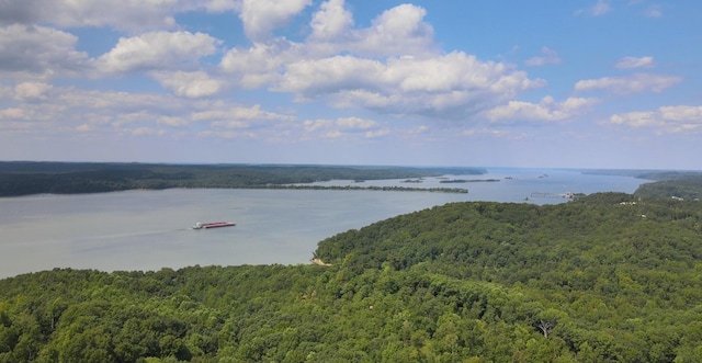 71 Overlook Trl, Stewart, TN 37175