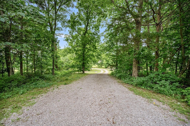 2480 Mount Lebanon Rd, Lewisburg, TN 37091 - view of road featuring a forest view