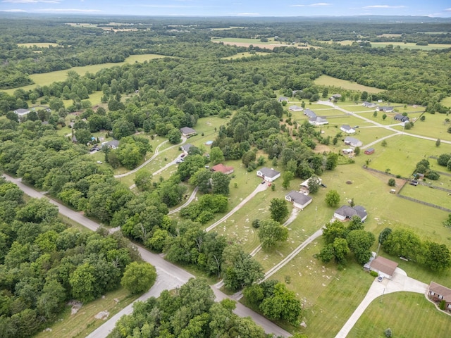 2480 Mount Lebanon Rd, Lewisburg, TN 37091 - aerial view