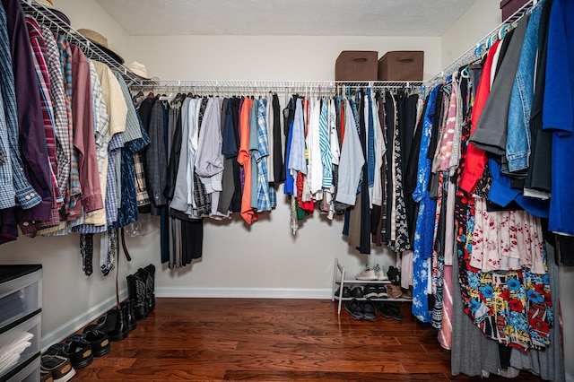 2480 Mount Lebanon Rd, Lewisburg, TN 37091 - walk in closet featuring wood finished floors