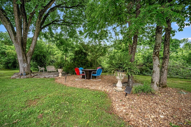 2480 Mount Lebanon Rd, Lewisburg, TN 37091 - view of green lawn