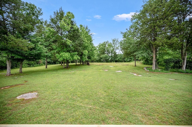 2480 Mount Lebanon Rd, Lewisburg, TN 37091 - view of grassy yard with view of scattered trees